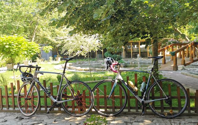 BianchiX2_w2.JPG